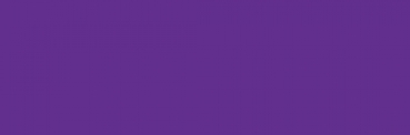 Fillipis SOL Purple/Blk by Friendly Plastic