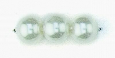 Wachs-Glasperle 10 mm weiß 20 St.